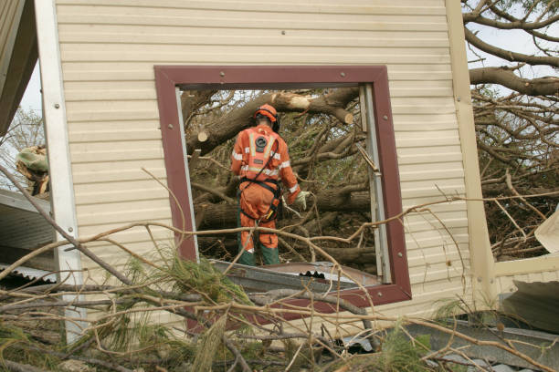 How Our Tree Care Process Works  in  Bridgewater, VA